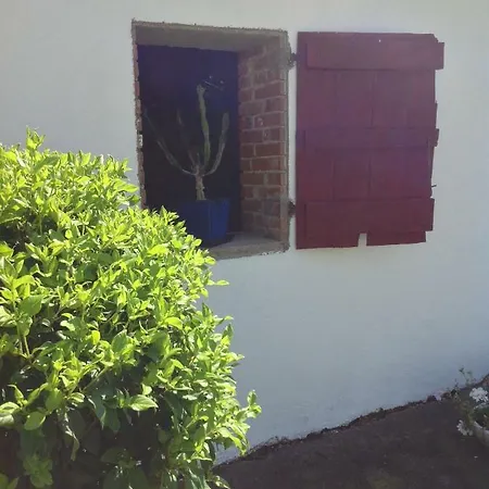La Ferme De Sicard Terssac